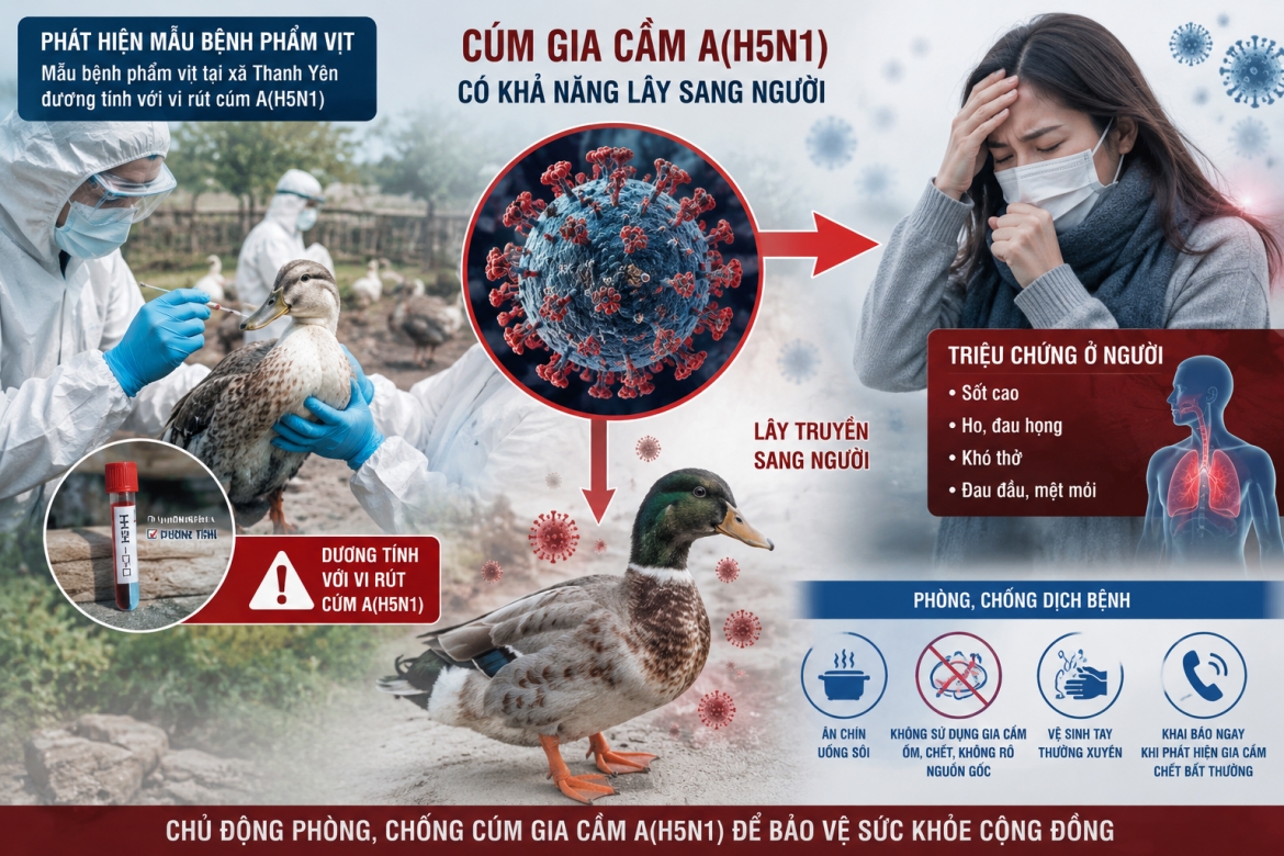 Điện Biên siết chặt công tác phòng, chống cúm gia cầm A(H5N1)